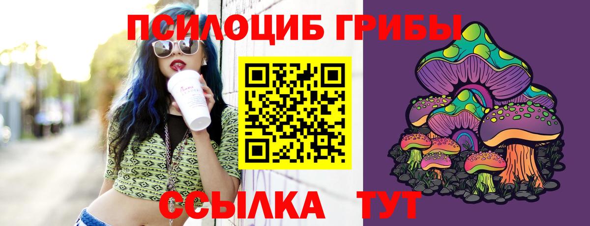 Псилоцибиновые грибы мицелий  Вход с VPN  Россошь 