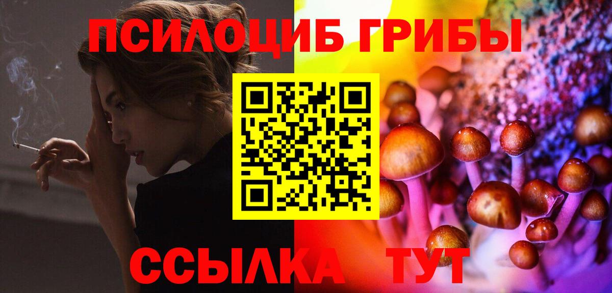 Псилоцибиновые грибы GOLDEN TEACHER Россошь