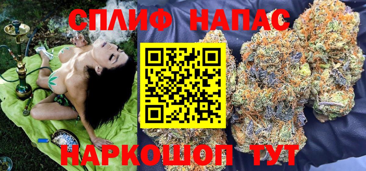 МАРИХУАНА план Россошь